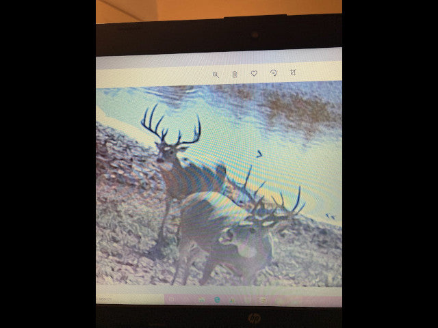 Lots of cover and deep wooly ravines on this 280 acre Hunting Lease in Dewey County - BrunHome