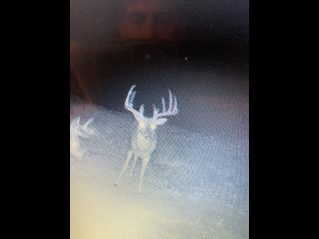 Lots of cover and deep wooly ravines on this 280 acre Hunting Lease in Dewey County - BrunHome