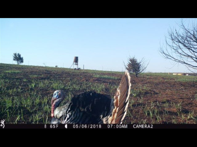 Big Bucks and an Excellent 160 acre lease in the Putnam Area - W Jackson