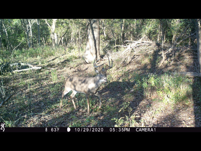 Close to OKC and on the River 190 acres Hunting Lease in Pottawatomie County -River 190