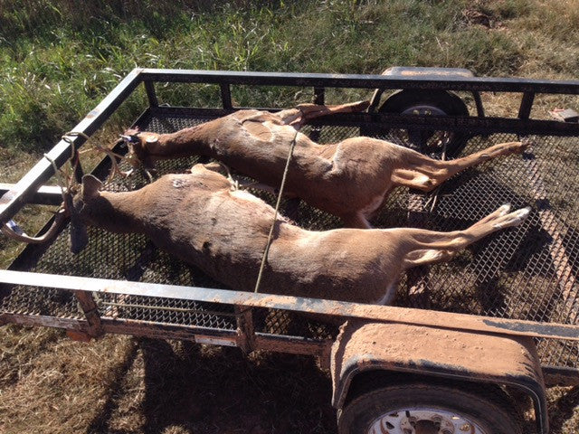 160 acres of Excellent Deer Population in Custer County - Graft