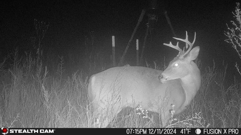 Good Producing 160 acre lease in Dewey County- County Line