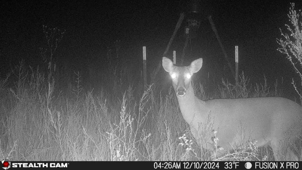 Good Producing 160 acre lease in Dewey County- County Line