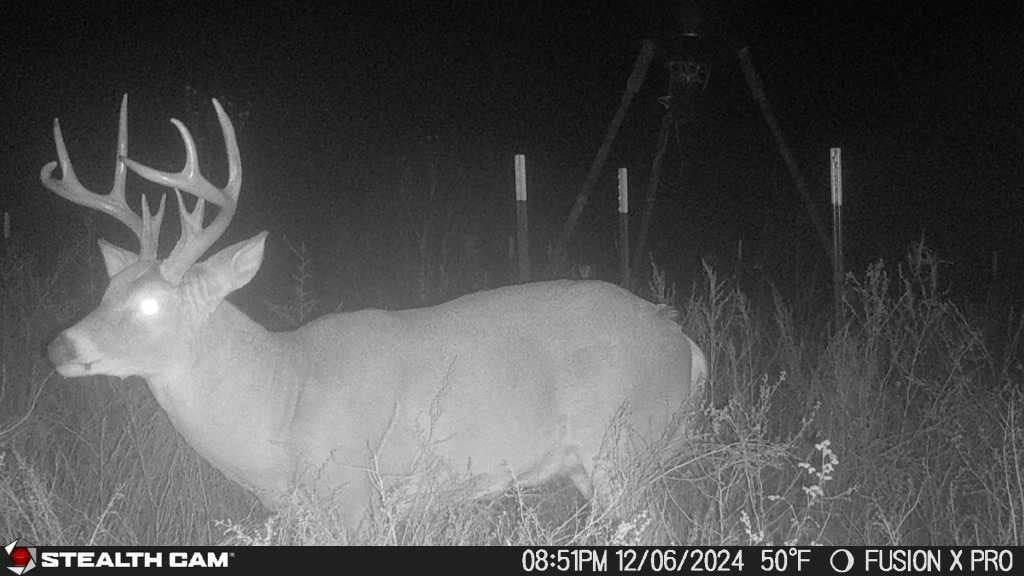 Good Producing 160 acre lease in Dewey County- County Line