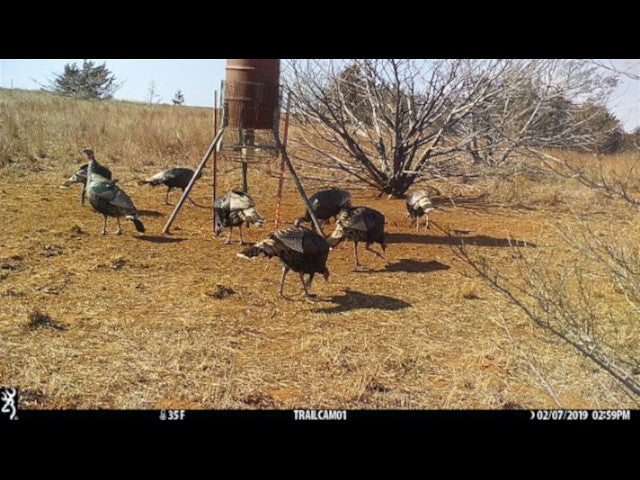 Big Buck Territory on 400 acre Hunting Lease in Dewey County - Deep Ravine