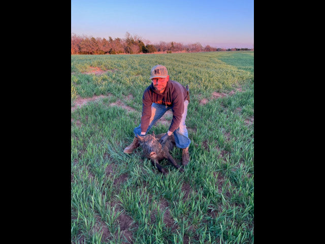 80 acres With a Creek in Dewey County - Irvin