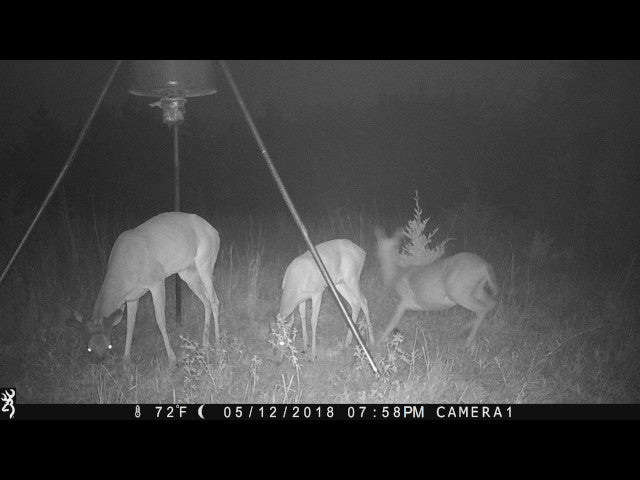 A great harvest producing 160 acres Hunting Lease in Dewey County - Walker