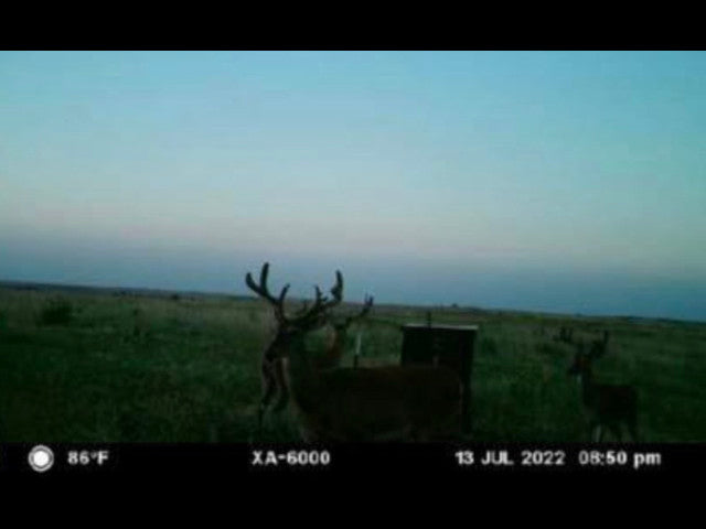 Big Buck Territory on 400 acre Hunting Lease in Dewey County - Deep Ravine