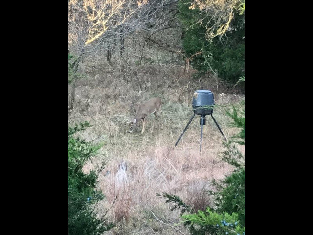 Great 240 acre lease in Dewey County - Rose