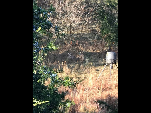 Great 240 acre lease in Dewey County - Rose