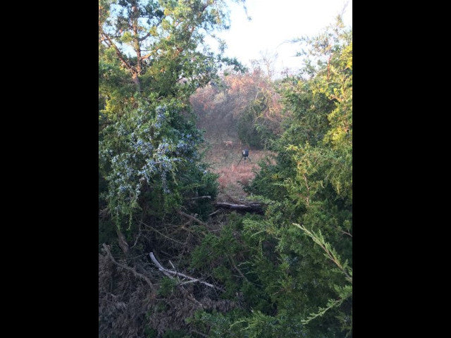 Great 240 acre lease in Dewey County - Rose