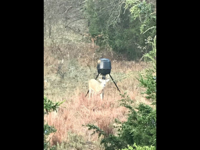 Great 240 acre lease in Dewey County - Rose