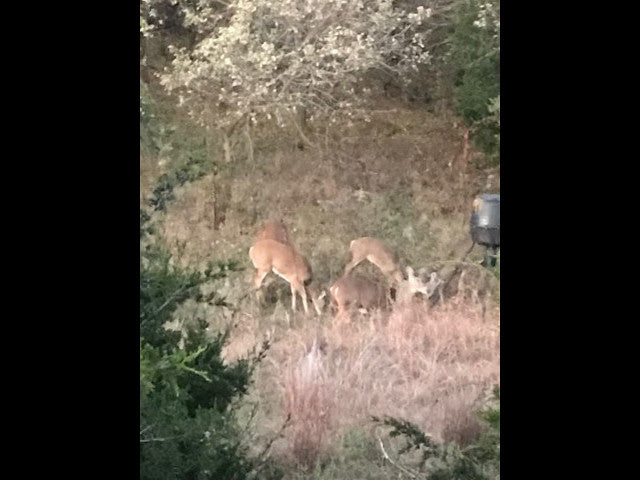 Great 240 acre lease in Dewey County - Rose