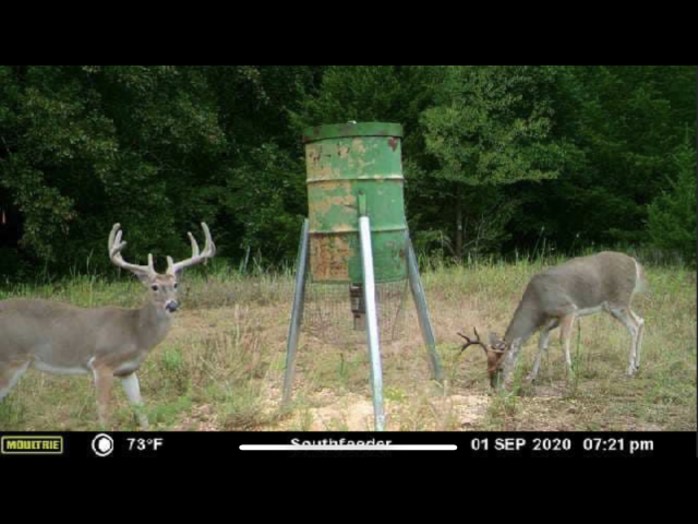 Must See 800 acre lease in SW Oklahoma -Painter