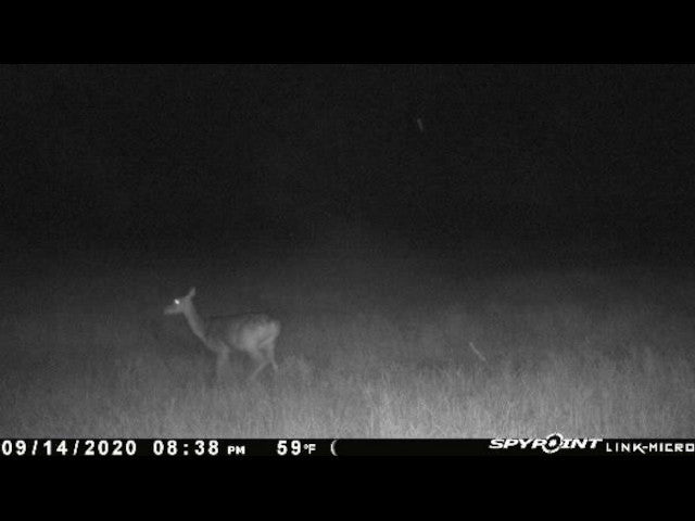 Must See 800 acre lease in SW Oklahoma -Painter