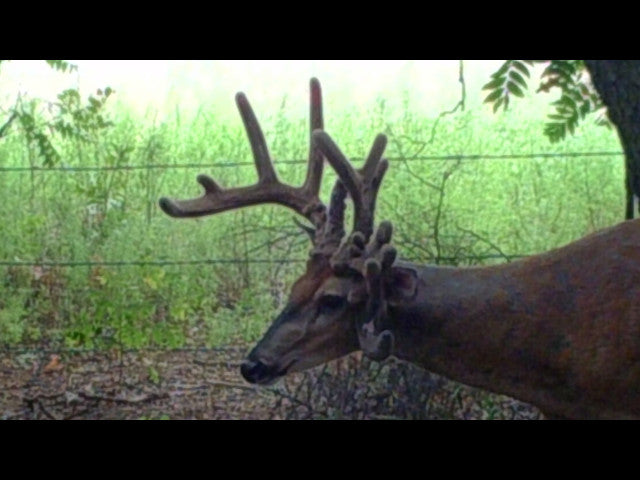 320 acre Hunting Lease Near Putnam - Laverta White