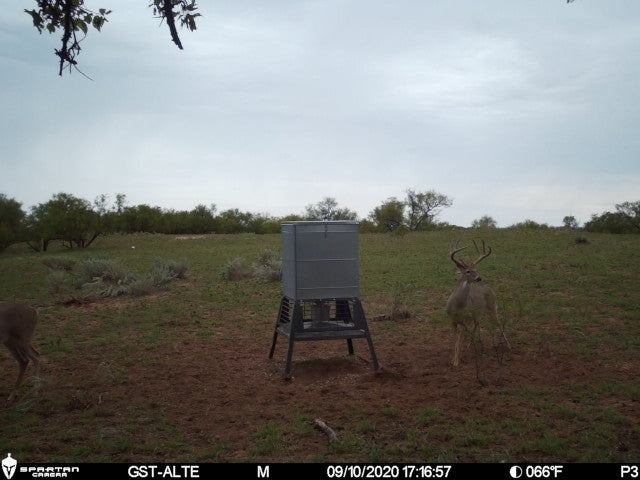 Must See 800 acre lease in SW Oklahoma -Painter