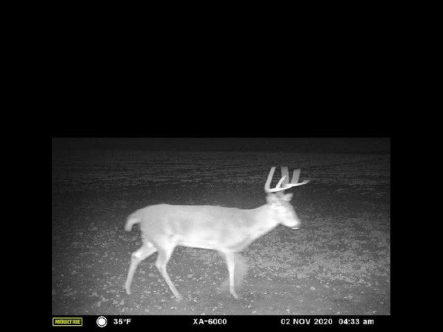 160 acre High Quality Hunting Lease in Custer County - Nichals