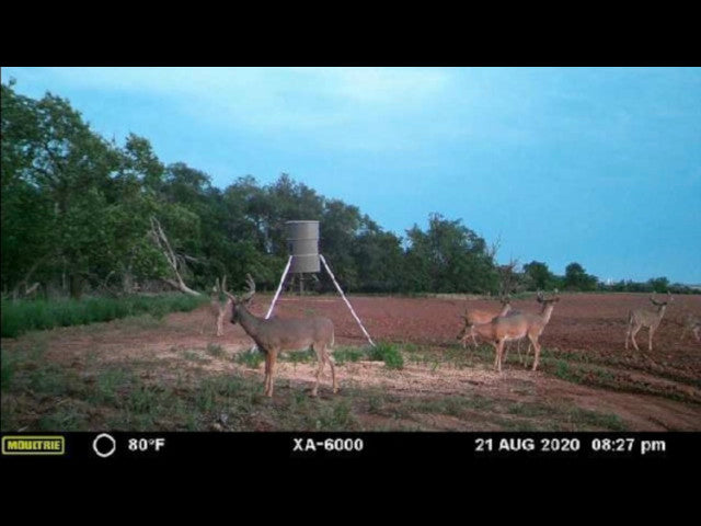 160 acre High Quality Hunting Lease in Custer County - Nichals