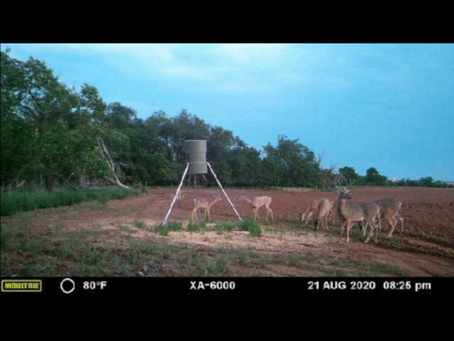 160 acre High Quality Hunting Lease in Custer County - Nichals