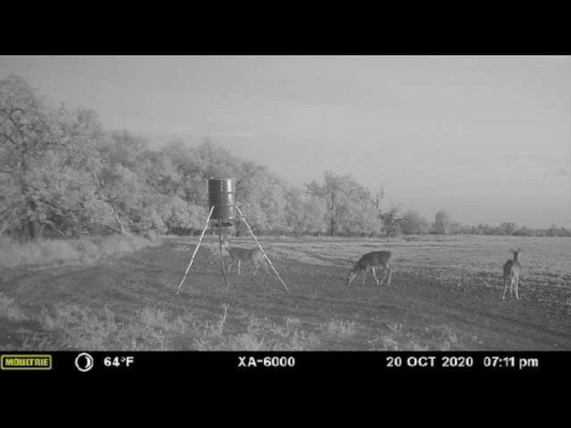 160 acre High Quality Hunting Lease in Custer County - Nichals