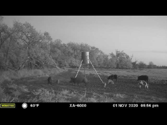 160 acre High Quality Hunting Lease in Custer County - Nichals