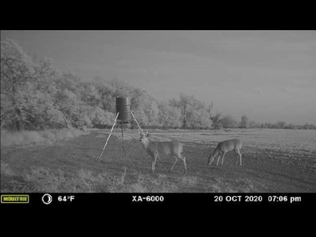 160 acre High Quality Hunting Lease in Custer County - Nichals