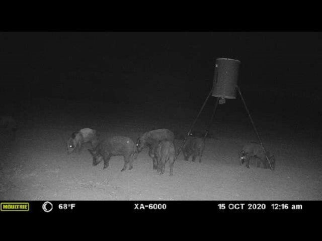 160 acre High Quality Hunting Lease in Custer County - Nichals