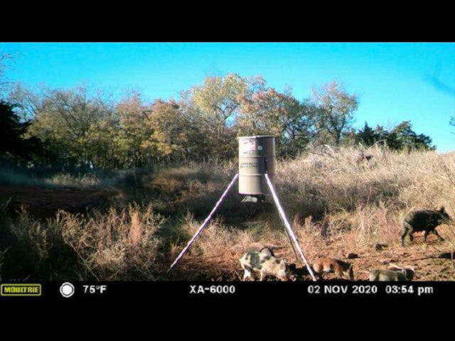 160 acre High Quality Hunting Lease in Custer County - Nichals