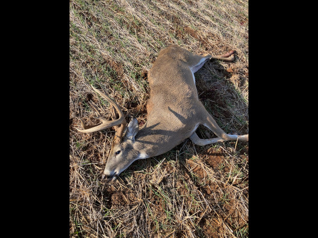 Great Hunting and good cover on 160 acres - 183