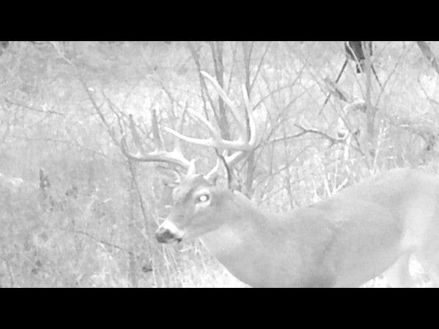 Excellent Quality 160 acre Hunting Lease for 2 Hunters - 4Hicks