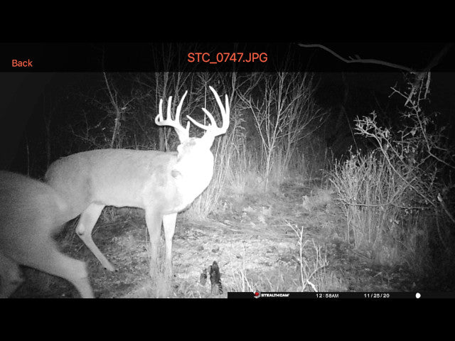 Excellent Quality 160 acre Hunting Lease for 2 Hunters - 4Hicks