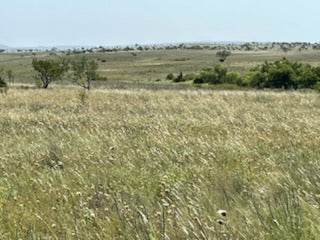 1251 Beautiful Acres in Kiowa County - Haley Ranch West