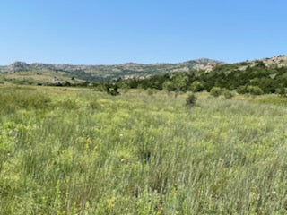 1251 Beautiful Acres in Kiowa County - Haley Ranch West