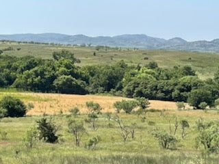 1251 Beautiful Acres in Kiowa County - Haley Ranch West