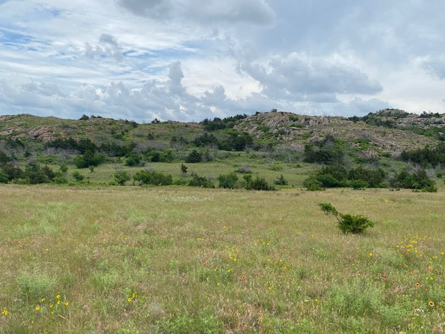 This is an excellent property and consists of 838 Acres on a Private Elk & Deer Lease - 838 Elk