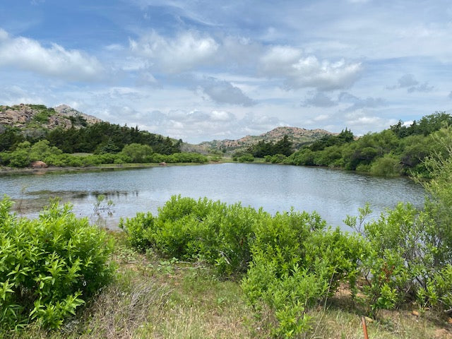 This is an excellent property and consists of 838 Acres on a Private Elk & Deer Lease - 838 Elk