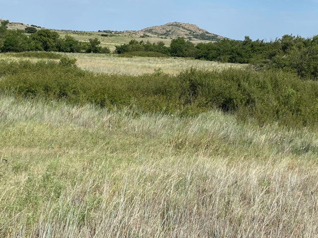 Great Hunting in Kiowa County on a 327 acre PRIVATE Elk Lease - Flying K Ranch