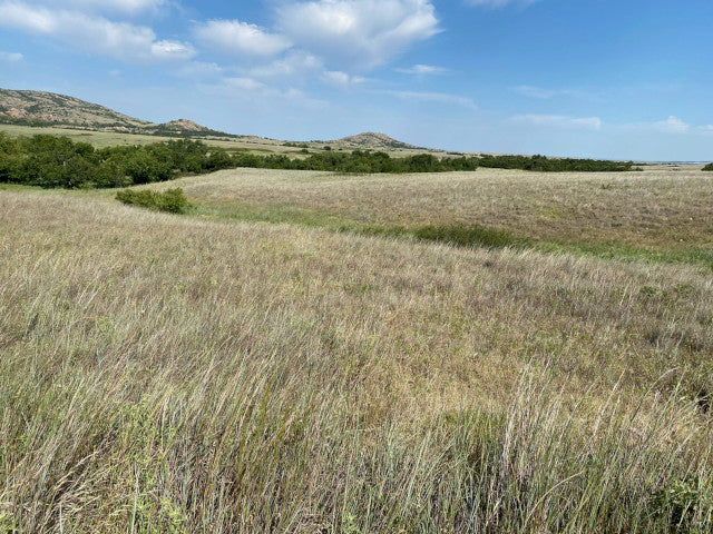 Great Hunting in Kiowa County on a 327 acre PRIVATE Elk Lease - Flying K Ranch
