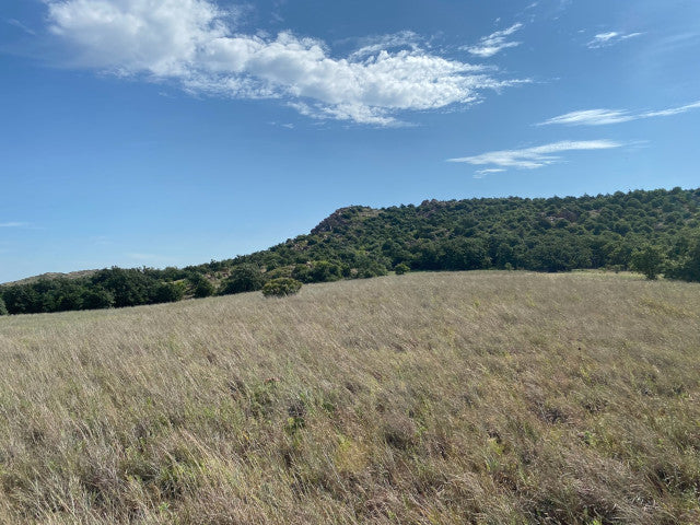 Great Hunting in Kiowa County on a 327 acre PRIVATE Elk Lease - Flying K Ranch
