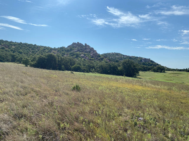 Great Hunting in Kiowa County on a 327 acre PRIVATE Elk Lease - Flying K Ranch