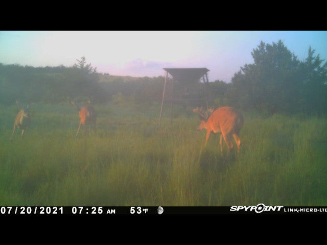 Lots of cover and deep wooly ravines on this 280 acre Hunting Lease in Dewey County - BrunHome