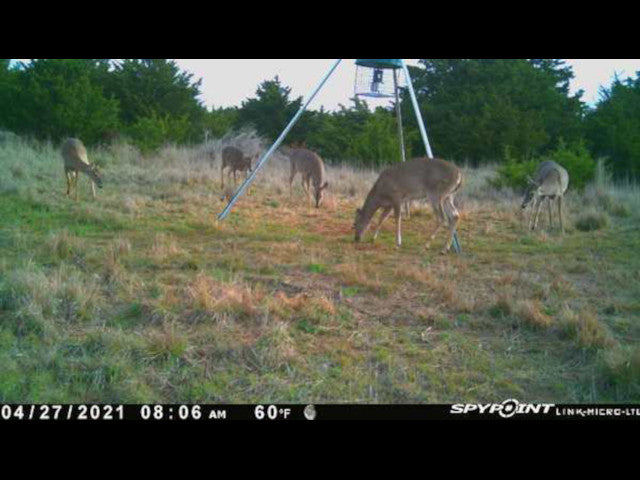 Lots of cover and deep wooly ravines on this 280 acre Hunting Lease in Dewey County - BrunHome