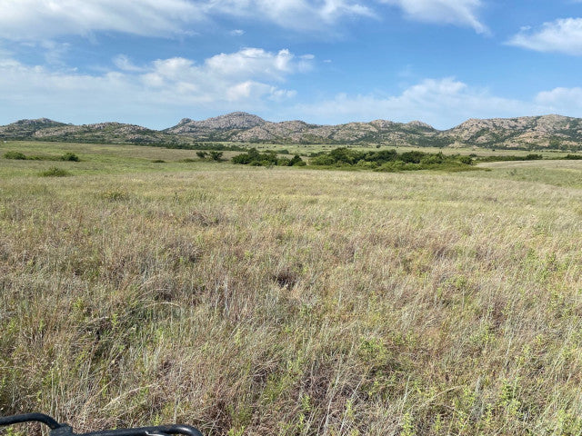 Great Hunting in Kiowa County on this 160 acre lease - South Flying K
