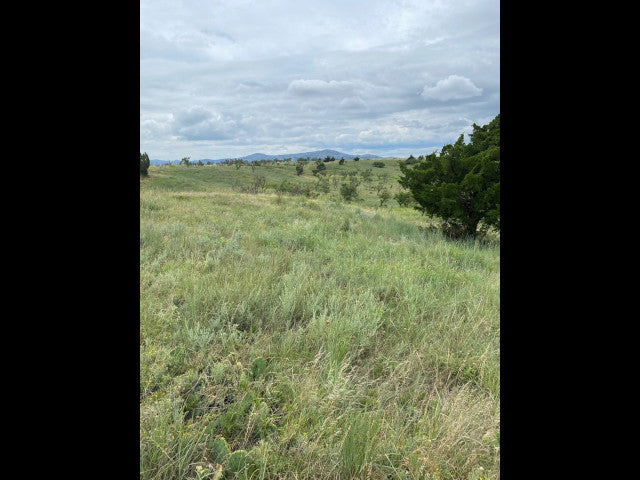 Great Hunting in Kiowa County on this 160 acre lease - South Flying K