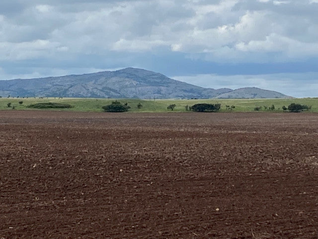 Great Hunting in Kiowa County on this 160 acre lease - South Flying K