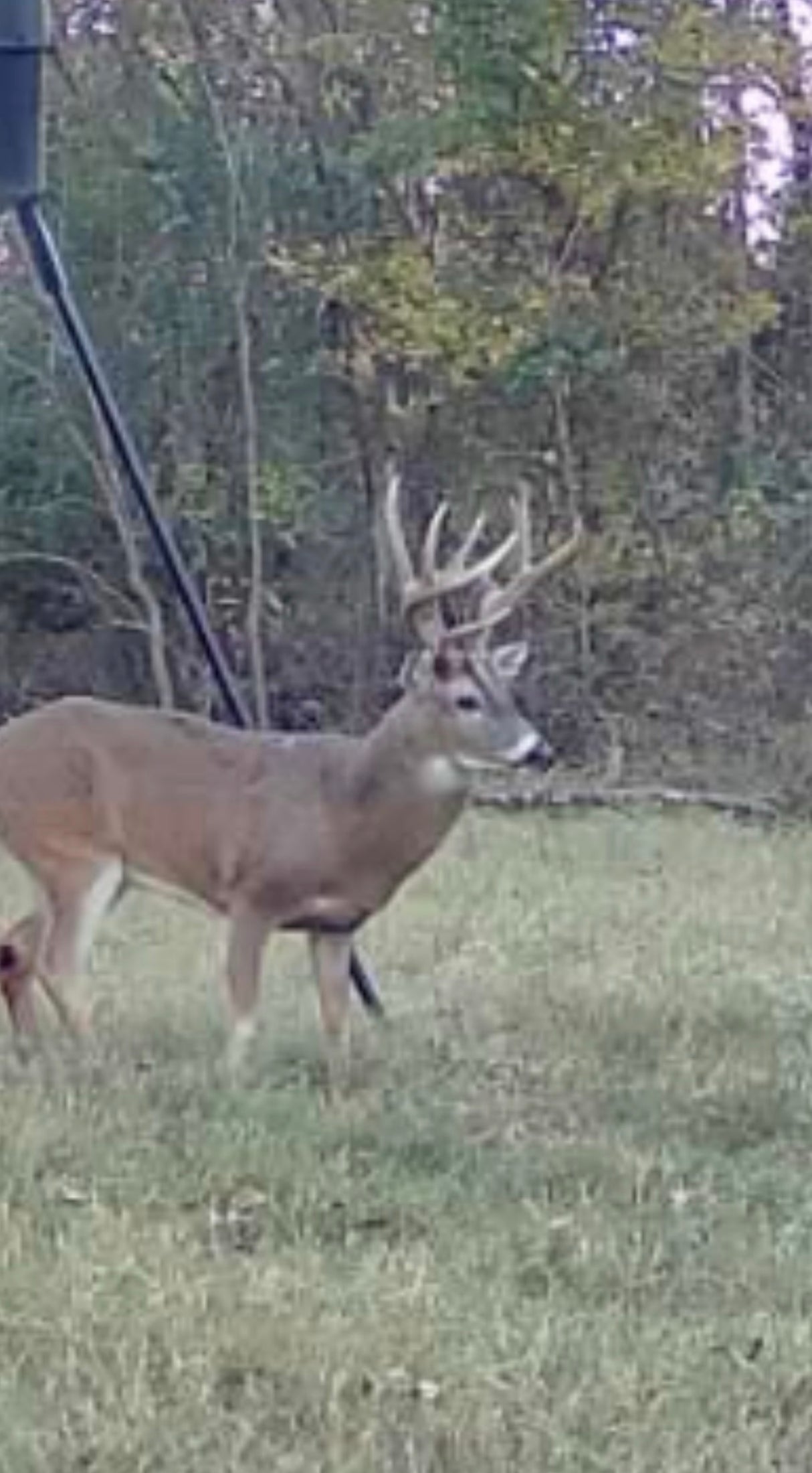 620acre Hunting Lease - School Section