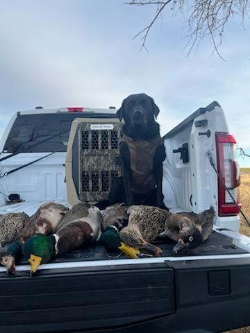 JMCN The Other Place 160 Acre Hunting Lease