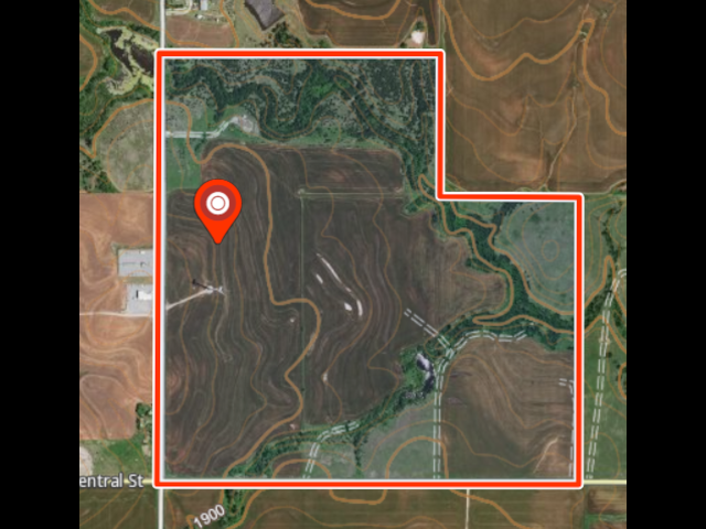 320 acre Hunting Lease Near Putnam - Laverta White