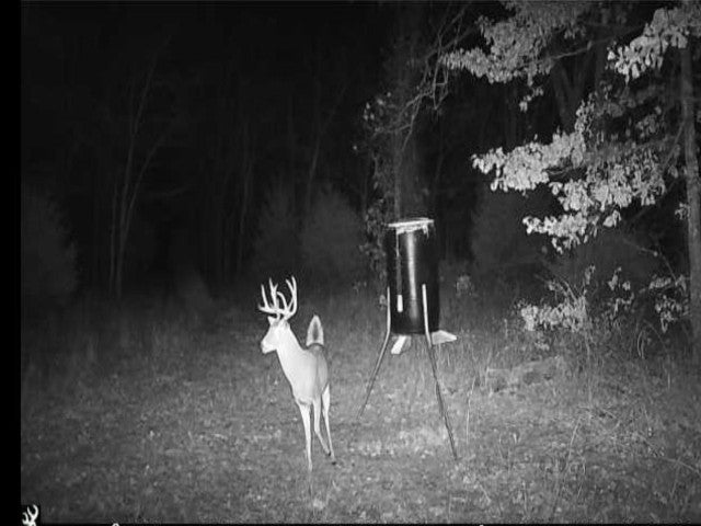 360 acres of Great Hunting in Osage County - Bird Creek Ranch